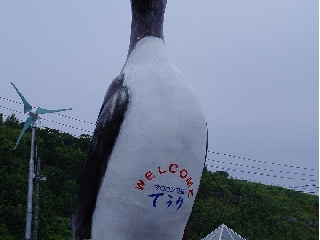 082_天売島.jpg